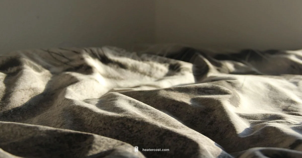 Heater Blanket Safety - Heater Cost