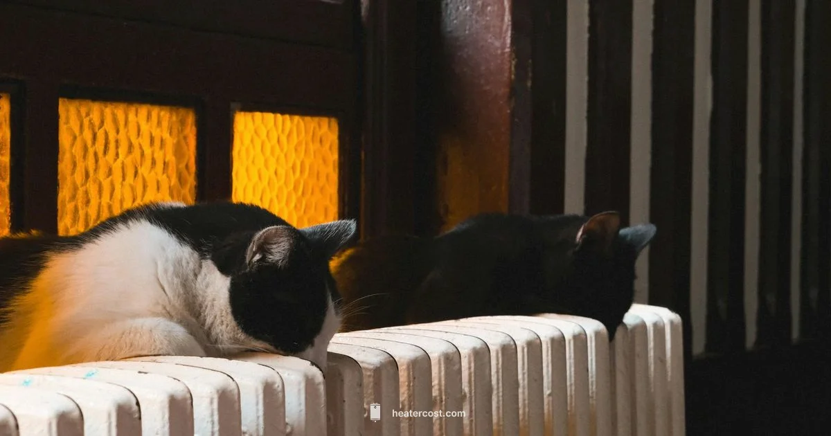 Oil Heater Insight - Heater Cost